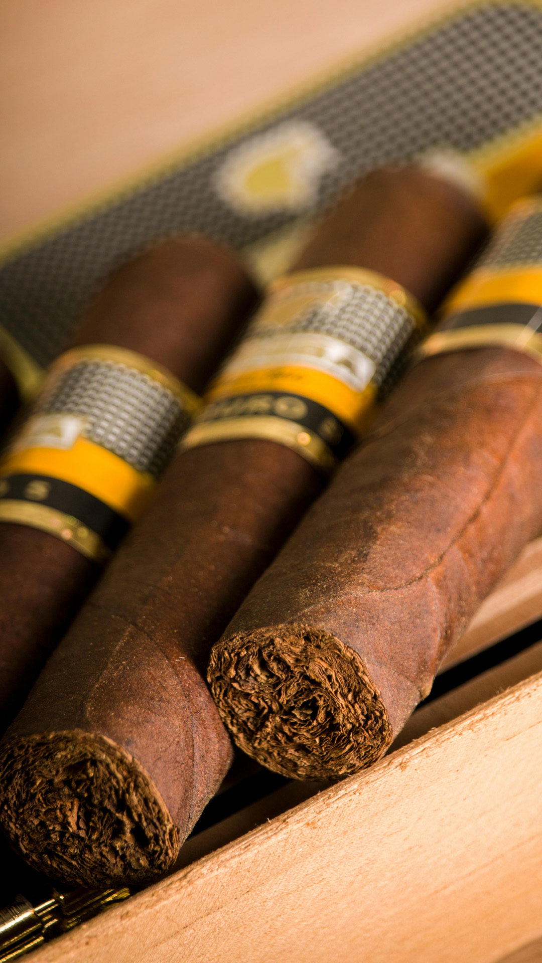 hemingway_casa-del-habano_vertical3